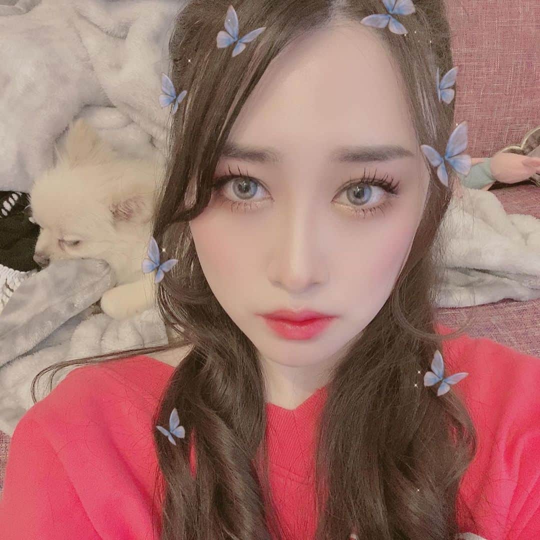 飛鳥凛さんのインスタグラム写真 - (飛鳥凛Instagram)「メイク開拓中 新しいTWICEのPVが可愛すぎてリビングのテレビではリピート再生されてる笑  まつ毛をピンセットで束にしたり 眉毛の形を変えてみたりアイラインもアイシャドウもシンプルな色にしてみた💅」7月11日 6時16分 - rin_asuka0328