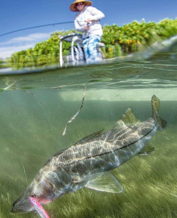 のインスタグラム：「Leaning into linesiders. 📷: @sport_fish_gallery⁠ #SeeWhatsOutThere #BornOnTheWater」