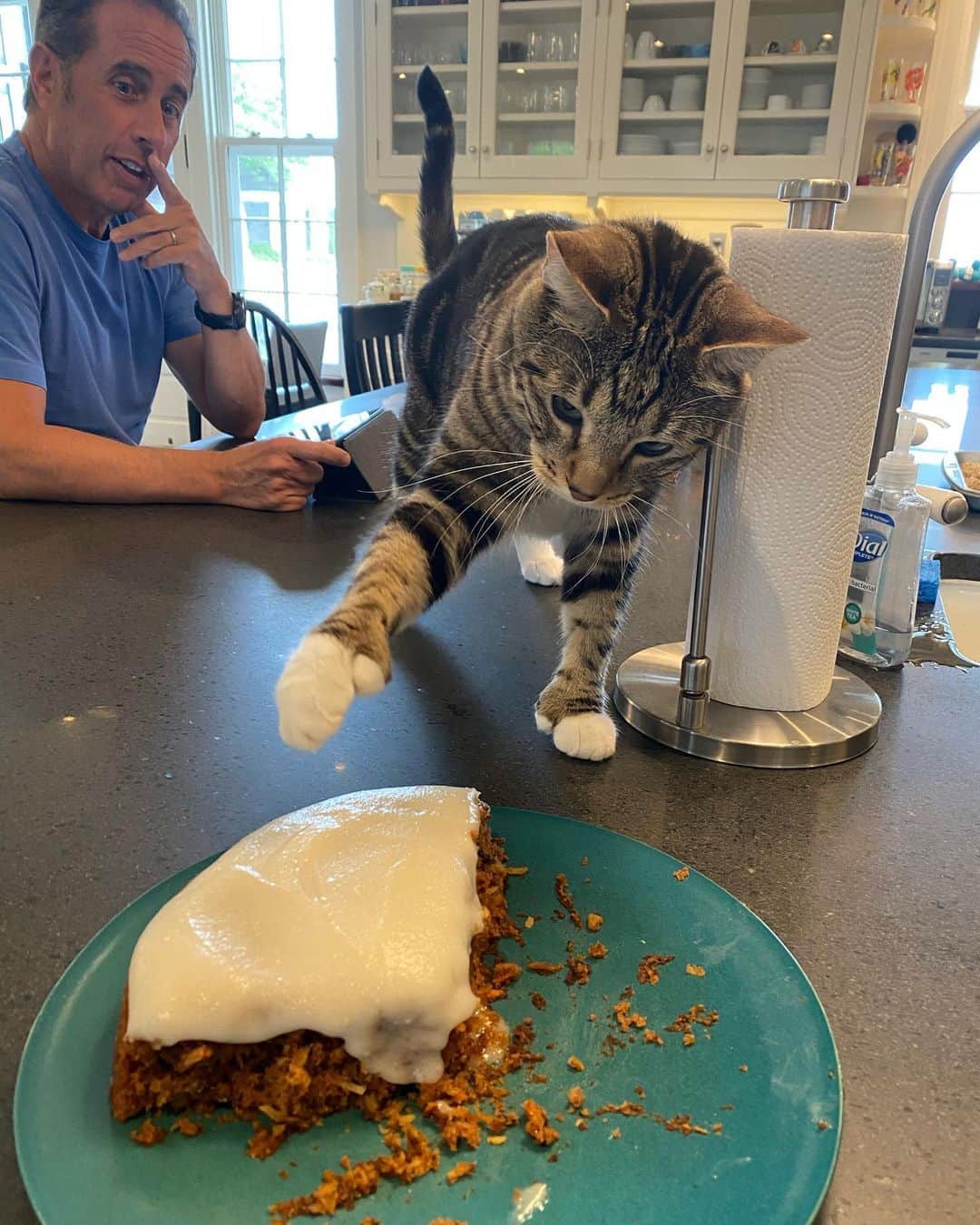 ジェシカ・サインフェルドさんのインスタグラム写真 - (ジェシカ・サインフェルドInstagram)「Testing out a vegan carrot cake recipe for my upcoming book and Jerry said this is the only cake that “doesn’t make you feel gross after”. High praise from Ramone and his thumbs too. I know he is on the counter. I run a cat-centric house and I will block anyone who doesn’t get it. Can we have an intelligent conversation about blocking people in general? It feels essential for sanity on social media these days. Why can’t we “curate” our experience? I just went on such a tangent but this is a general question I’d like your input on.」7月11日 7時48分 - jessseinfeld