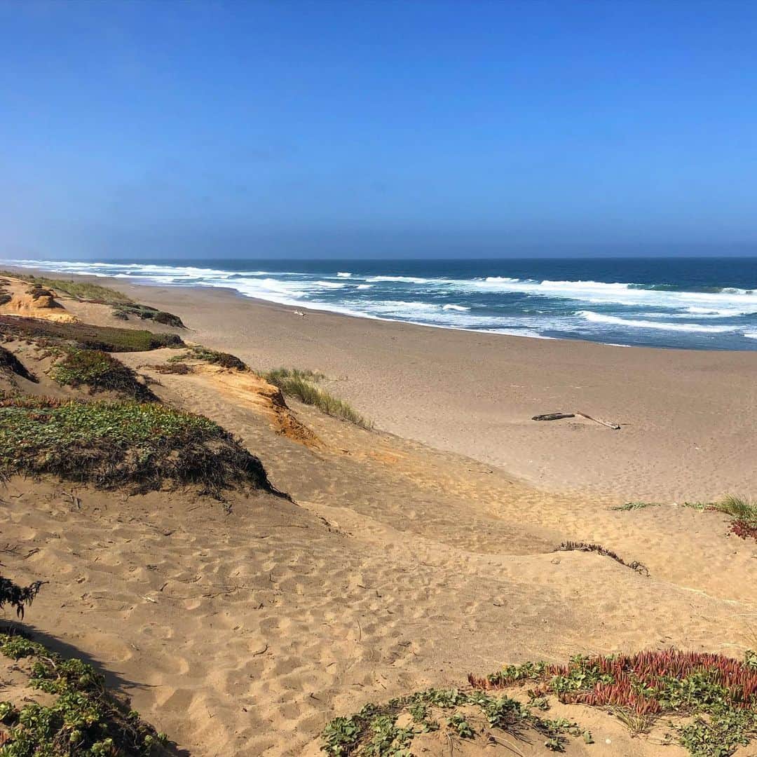 アナベル・ウォーリスのインスタグラム：「Road trip #California」