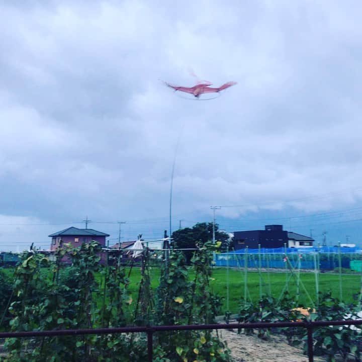 おんむすのグルメインスタ