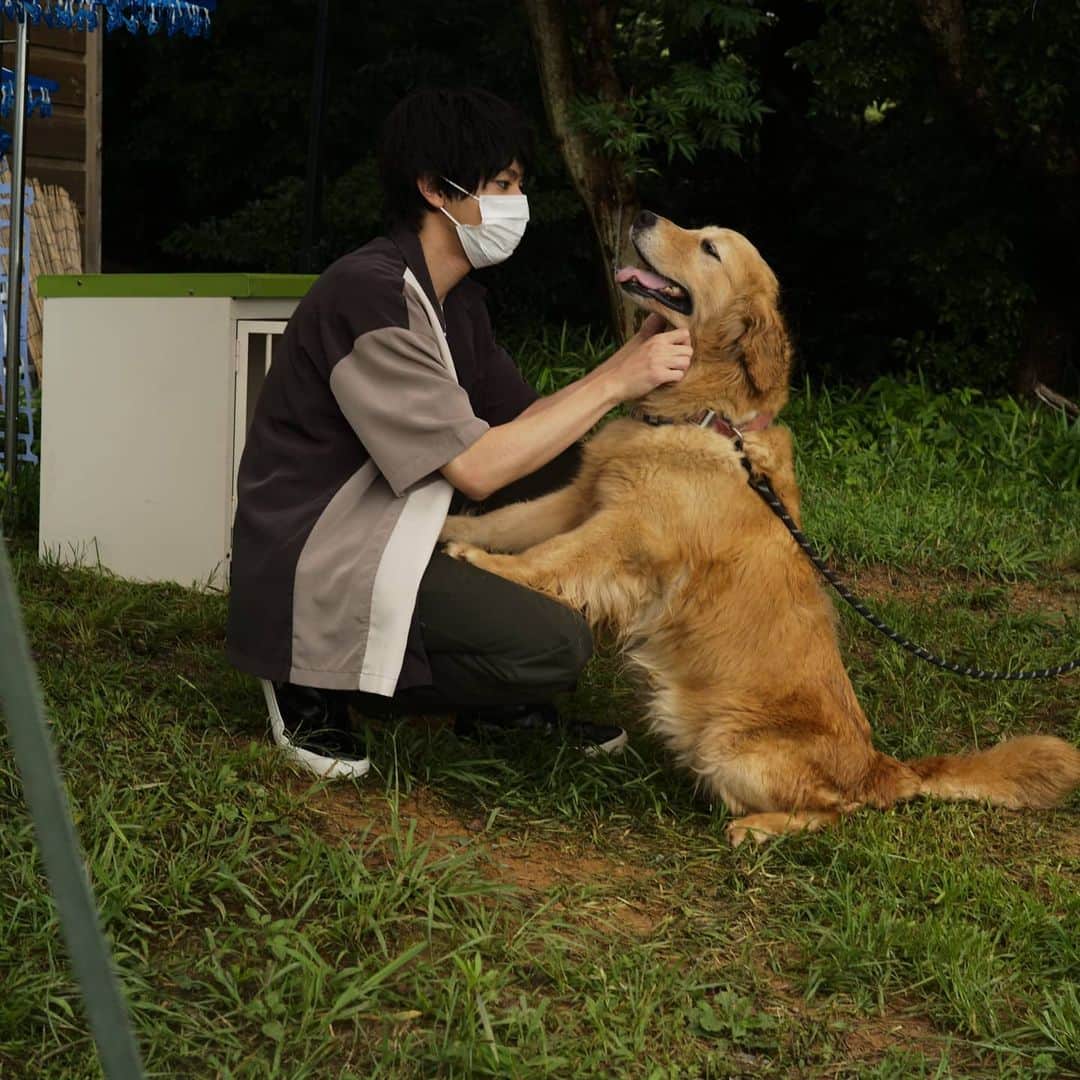 山田裕貴さんのインスタグラム写真 - (山田裕貴Instagram)「#志村どうぶつ園 ６月５日に 自分も家族のわんこが亡くなりました  ありがとな  どうか わさおと仲良くやっとくれなー  エルと会えなかった分 心に傷を負った わんこ達を勇気づけられるよう  どうにか 心を開いてもらえるよう 今回も全力で楽しみました  #保護犬 は 待ってます  人も動物も命は一緒です」7月11日 19時02分 - 00_yuki_y