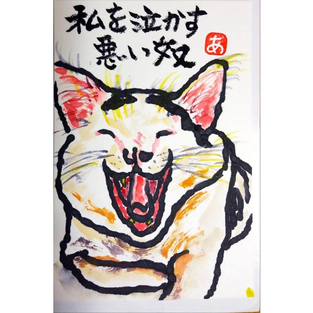 Kachimo Yoshimatsuさんのインスタグラム写真 - (Kachimo YoshimatsuInstagram)「まこしろさんが、描いてくれました。 「私を泣かす悪い奴」 ホント悪い奴です😂 #うちの猫ら #nanakuro #ナナクロの絵 #猫 #ねこ #cat #ネコ #catstagram #ネコ部 http://kachimo.exblog.jp」7月11日 19時23分 - kachimo