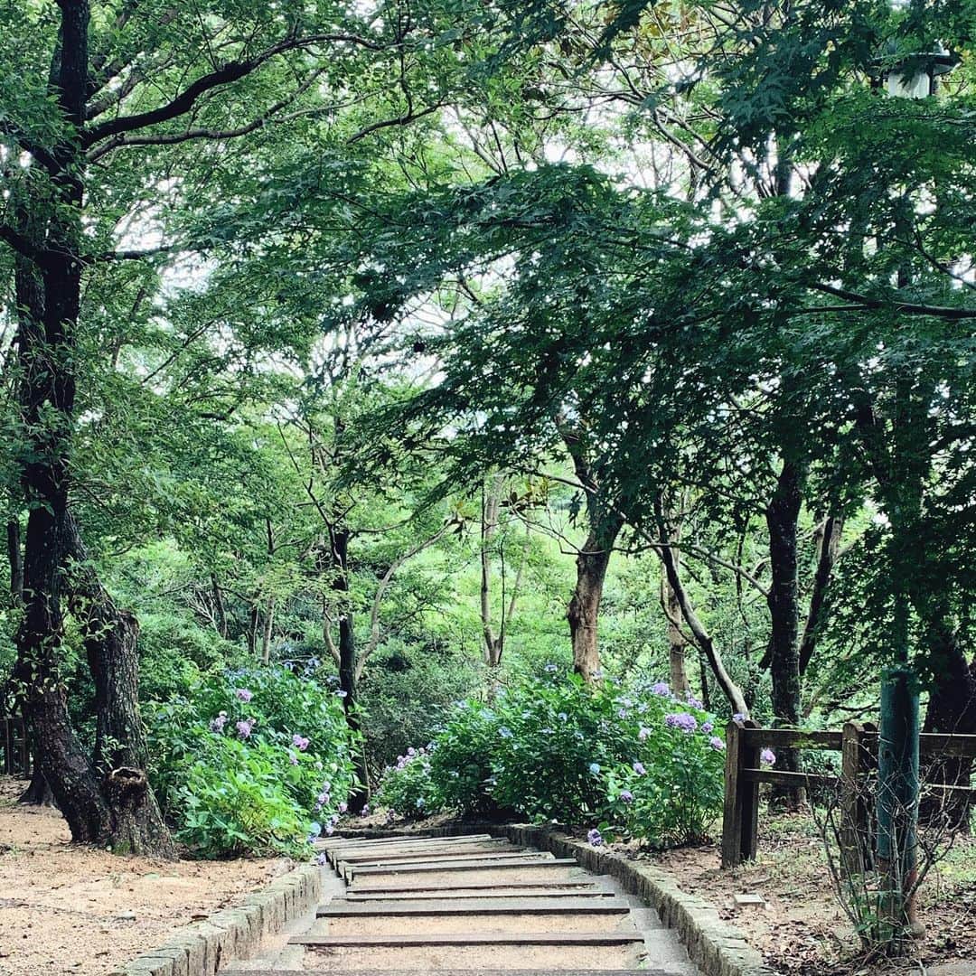 ティファニー・キャデラックのインスタグラム：「🦋 Every step you take is magick💫👣✨」