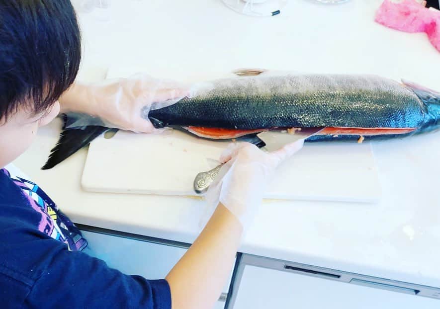 杉浦太陽さんのインスタグラム写真 - (杉浦太陽Instagram)「セイアがトキシラズを捌きました！  教えながら、苦戦しながら、  大きな魚なのに🐟 上手だよ！よく頑張りました！！  @sugiurataiyou_official  #セイア #魚捌き #トキシラズ #よく出来ました！！」7月11日 19時29分 - sugiurataiyou_official