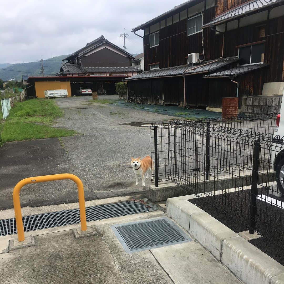 HALFBYのインスタグラム：「ちゅーん」