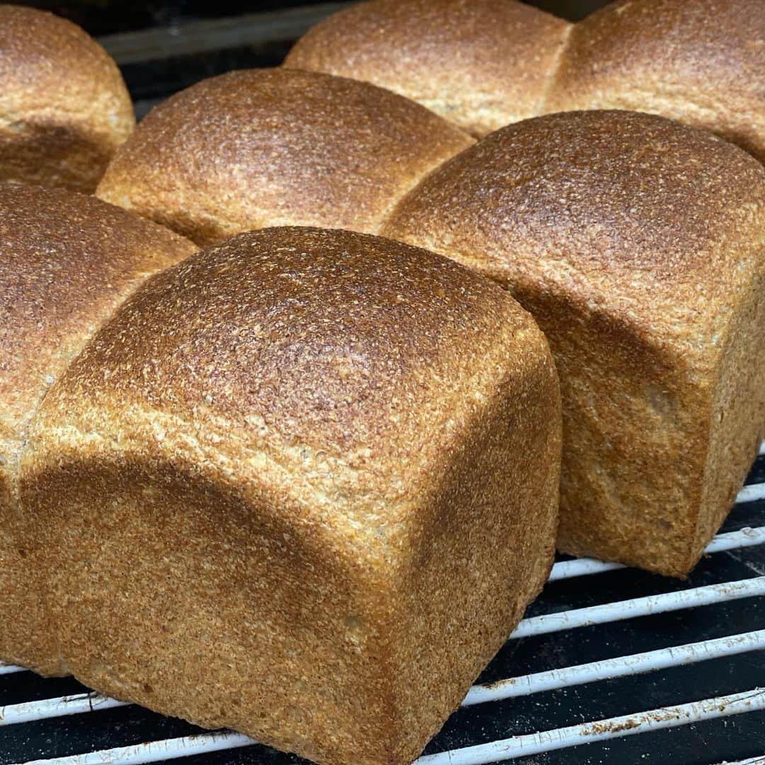 魔女菅原のグルメインスタ