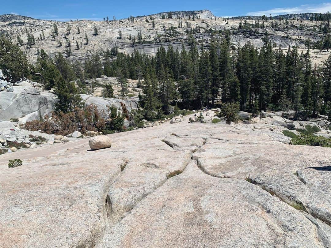 OLIVIAさんのインスタグラム写真 - (OLIVIAInstagram)「Fun adventures in Yosemite National Park. 🌈🌿☘️💕🌱🐶💚 #yosemitenationalpark #halfdome」7月11日 11時06分 - olivialufkin