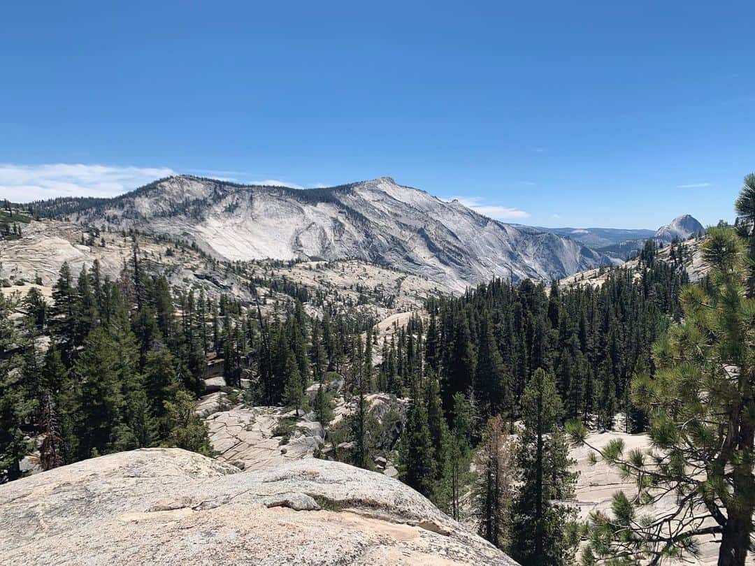 OLIVIAさんのインスタグラム写真 - (OLIVIAInstagram)「Fun adventures in Yosemite National Park. 🌈🌿☘️💕🌱🐶💚 #yosemitenationalpark #halfdome」7月11日 11時06分 - olivialufkin