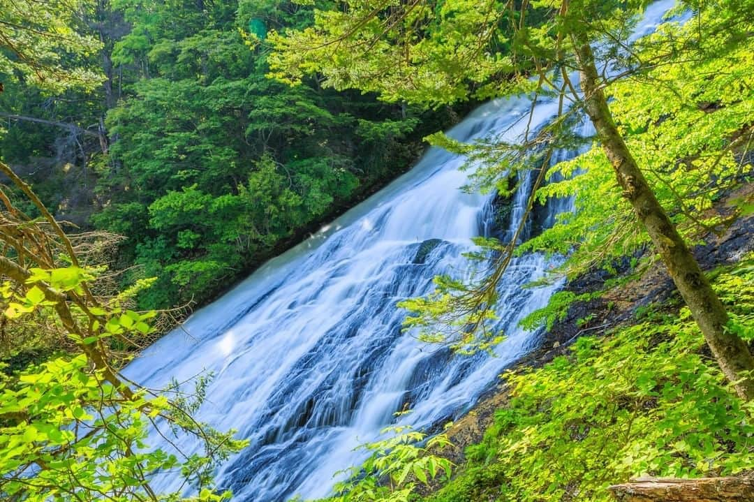 THE GATEのインスタグラム：「【 Yutaki Falls// #Tochigi 】 Yutaki Falls lies in the depths of Okunikko, Tochigi, and is chosen as one of Okunikko’s Three Major Waterfalls.  l It measures 60 meters high and 25 meters wide. l The falls are stunning all year round, with fresh greenery in the spring and colored leaves in the autumn.  l During winter’s coldest months, the falls freeze to make it seem as if time has stopped. . ————————————————————————————— ◉Adress Yumoto, Nikko-shi, Tochigi ————————————————————————————— THE GATE is a website for all journeys in Japan.  Check more information about Japan. →@thegate.japan . #Japan #view #travel #exploring #visitjapan #sightseeing #ilovejapan #triptojapan #japan_of_insta #療癒 #instagood #粉我 #nikko #travelgram #instatravel #unknownjapan #instagramjapan #instaday #freshgreen #鲜绿色 #신록 #bundokph #kalilkasan #Hapon #alamsemulajadi #jepun #mendakigunung #mountaineering #yutaki」