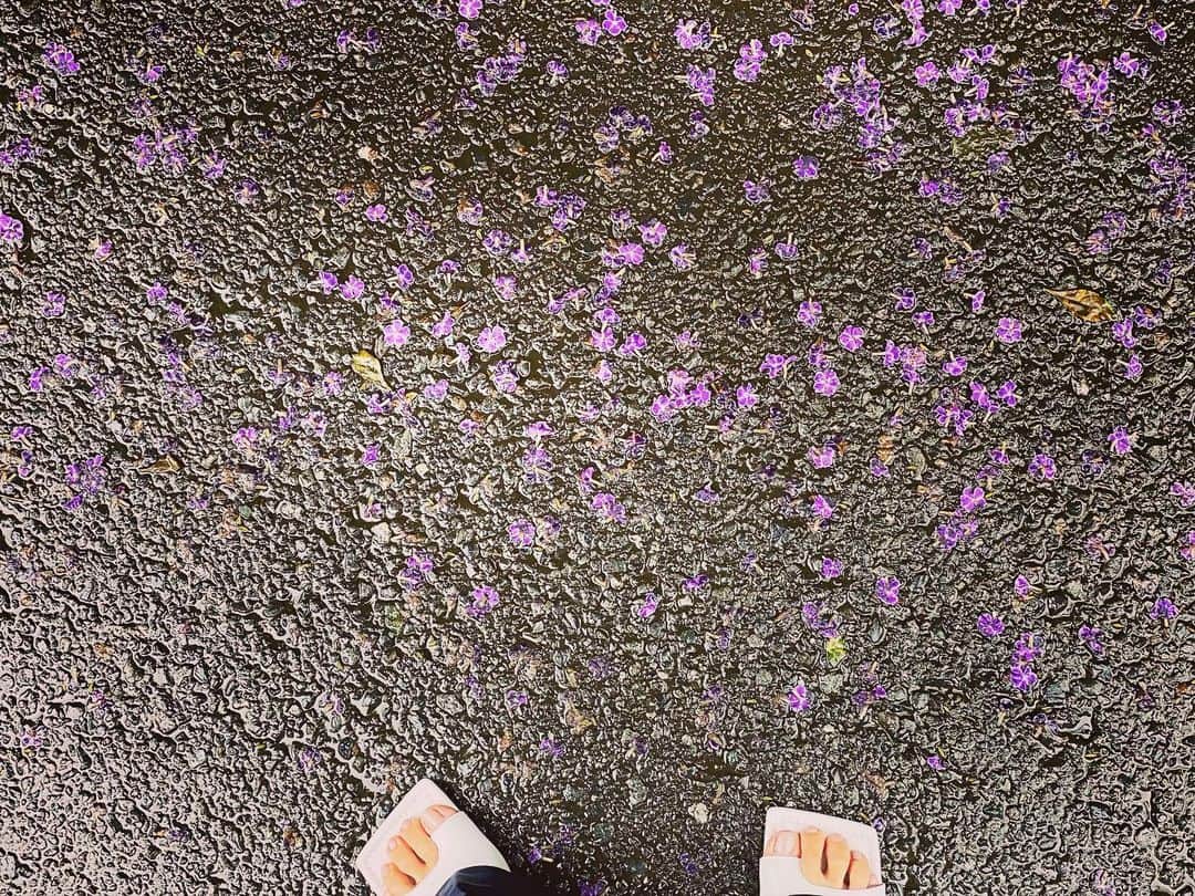 神崎恵さんのインスタグラム写真 - (神崎恵Instagram)「手紙を書く日✉️ お兄ちゃんが作った水引。 綺麗✨✨」7月11日 12時15分 - megumi_kanzaki