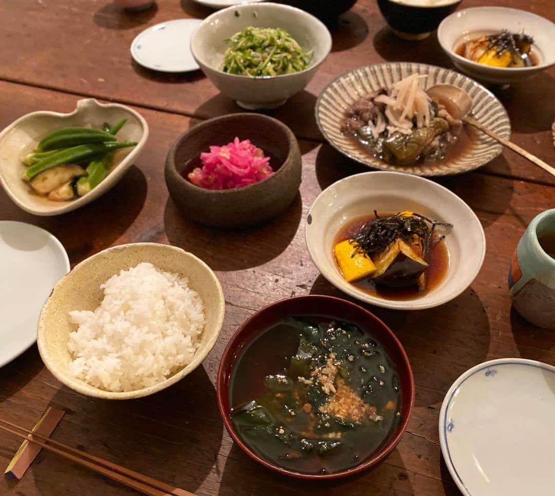 青山有紀さんのインスタグラム写真 - (青山有紀Instagram)「賀茂茄子とズッキーニの揚げ浸しやきゅうりの辛い酢の物、おくらの柚子胡椒お浸しなど #寿養茶 #青山有紀 #青山有紀ごはん」7月11日 12時23分 - yukiaoya