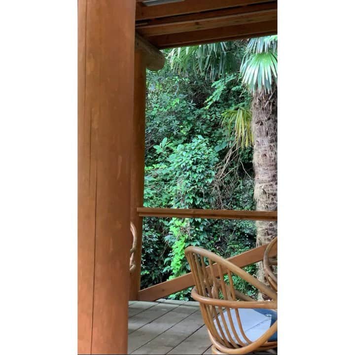 藤原美智子のインスタグラム