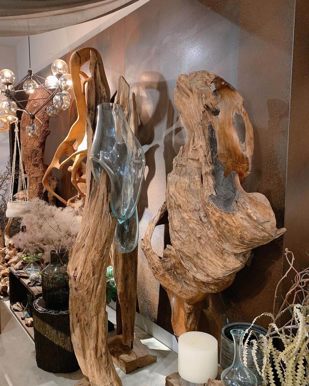 Naomiのインスタグラム：「この間行った神戸🚅お世話になってる植物屋さんがとっても可愛かった🌲🌞#kobe#green #神戸#観葉植物#インテリア」