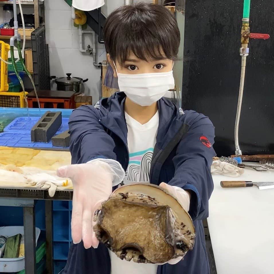スーパーナブラのインスタグラム：「． ． 今夜はアワビ✨ ． まだ生きていて動いています！ ． 生のコリコリ食感も好きだけど今日はどうして食べようかな？ ． 皆さんはどんなアワビ料理がお好きですか？ ． ． 今夜、N BARでいただきます😋 ． ． 🐟お知らせ🐟 【今夜21時00分】 スーパーナブラチャンネルで 生配信ライブをさせていただきます✨ ． ぜひぜひのぞきに来てくださいませ😊 ． #アワビ料理 #アワビ#鮮魚#刺身 #飛行機#温泉#旅館#ホテル#和食#鮭 #グルメ#露天風呂#足湯#GW#車中泊 #景色#釣り#ブラックバス#バス釣り #発見#おでかけ#女子旅#ツーリング #自然#釣り#釣りガール#YouTube#旅行好きな人と繋がりたい」