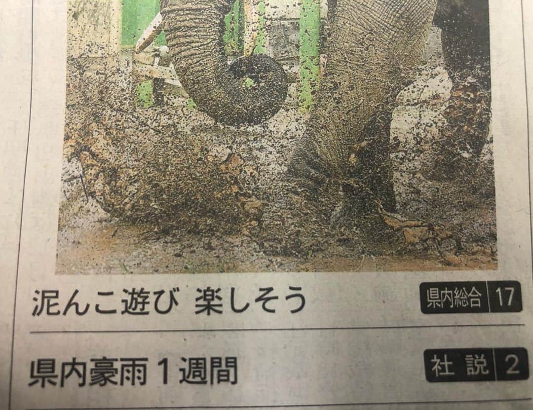 木原稔のインスタグラム：「地元紙として少し配慮が足りないなと思うのは私だけか…」