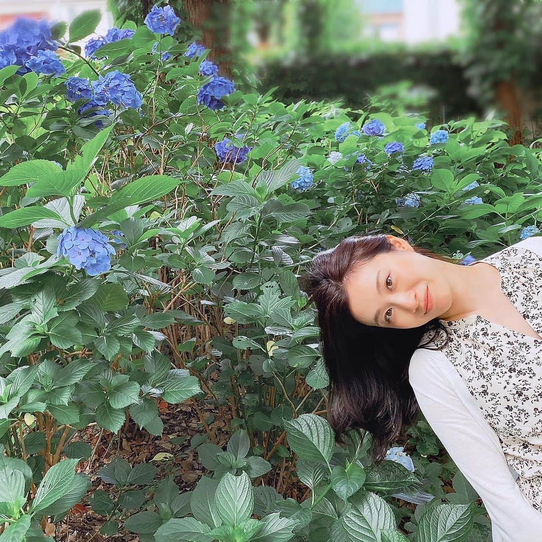 鈴木芳奈のインスタグラム：「ぬん。 紫陽花と右からカンナ。 いかがお過ごしですか？」