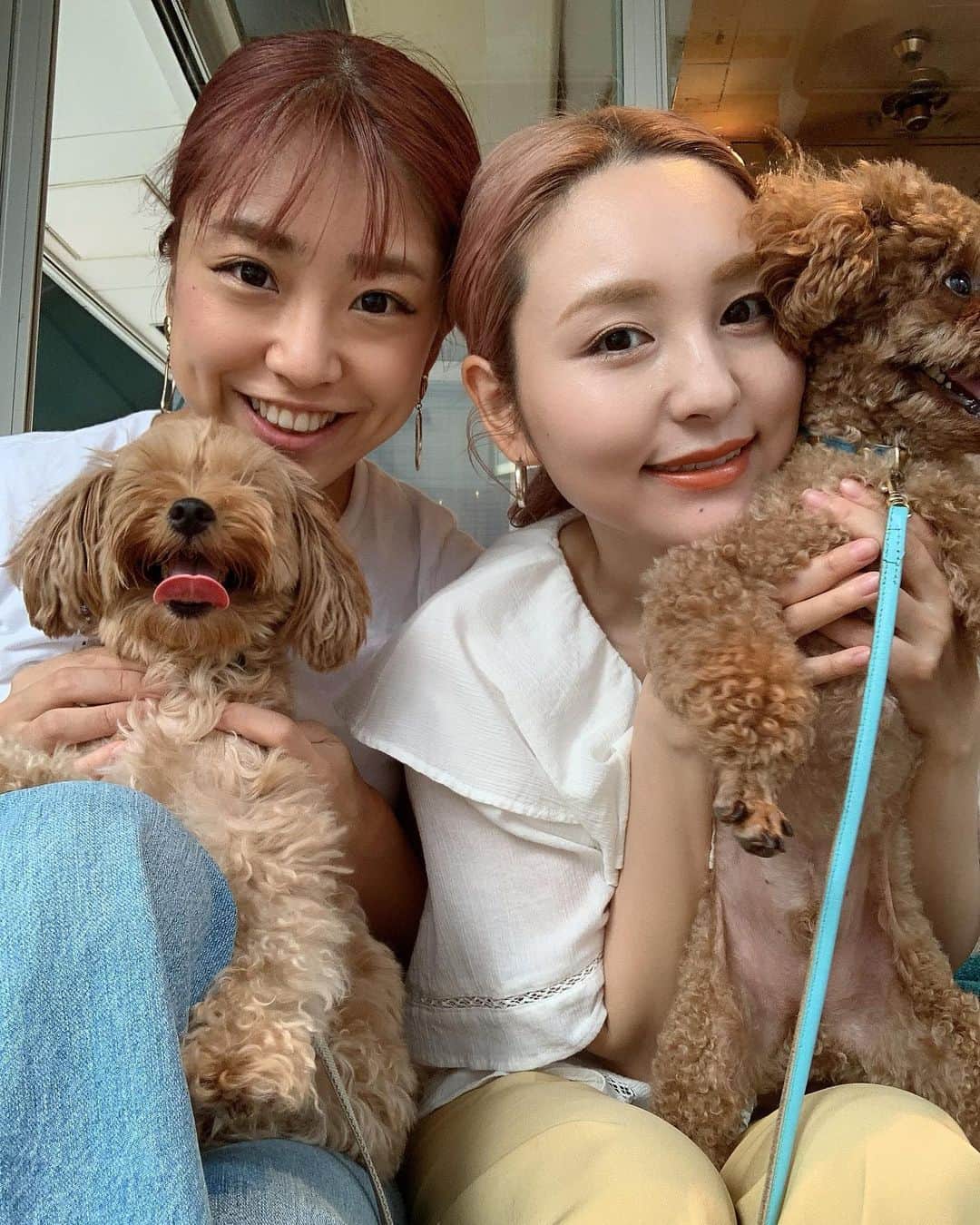 本橋優華さんのインスタグラム写真 - (本橋優華Instagram)「自粛以来久しぶりに ため息が出るほど可愛い3人に会えました☺︎ ナッちゃんとツミキさんとスカイ君です。 束の間の癒しを頂いたのでお仕事頑張ります！笑  #キスが止まらない #dog#myfriend#goodtime#tokyo#cafe」7月11日 20時20分 - uk_jp