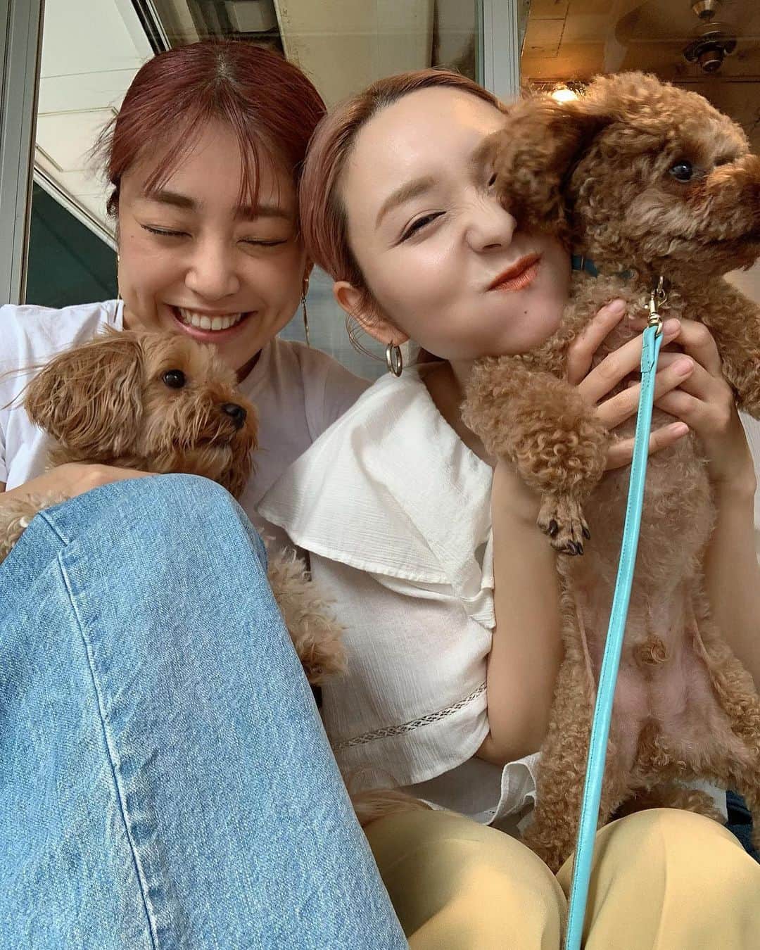 本橋優華さんのインスタグラム写真 - (本橋優華Instagram)「自粛以来久しぶりに ため息が出るほど可愛い3人に会えました☺︎ ナッちゃんとツミキさんとスカイ君です。 束の間の癒しを頂いたのでお仕事頑張ります！笑  #キスが止まらない #dog#myfriend#goodtime#tokyo#cafe」7月11日 20時20分 - uk_jp