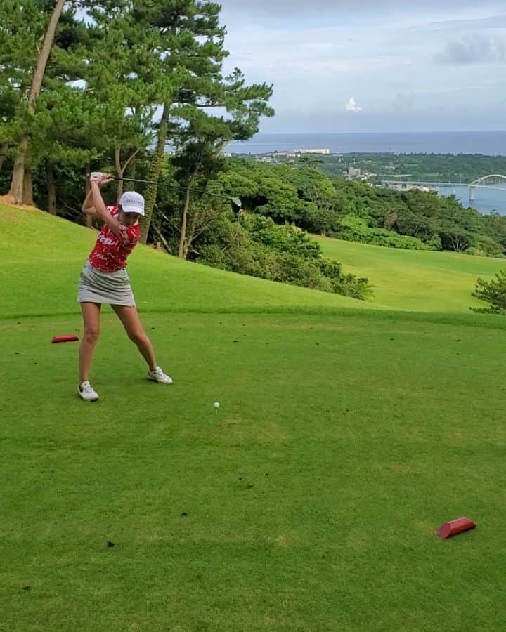 武田しのぶのグルメインスタ