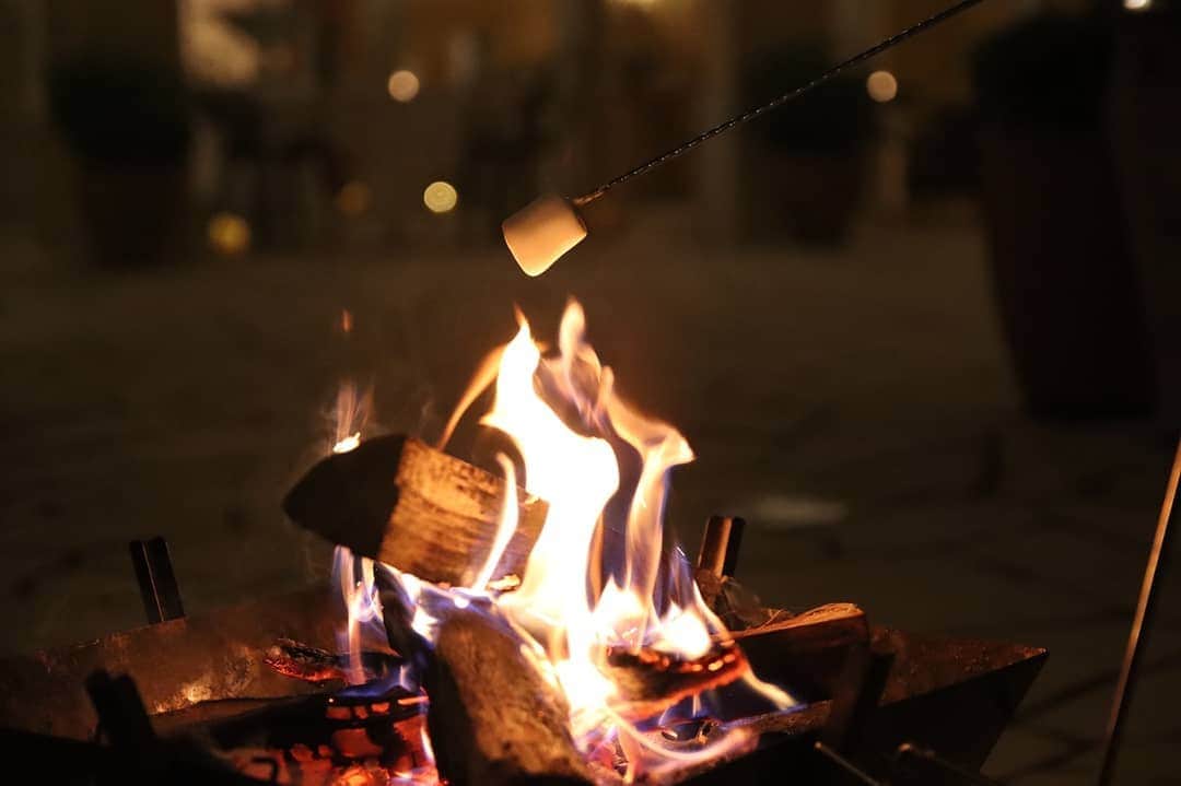 メゾン エルミタージュのグルメインスタ