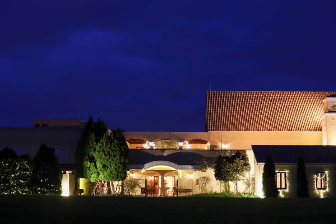 メゾン エルミタージュのグルメインスタ