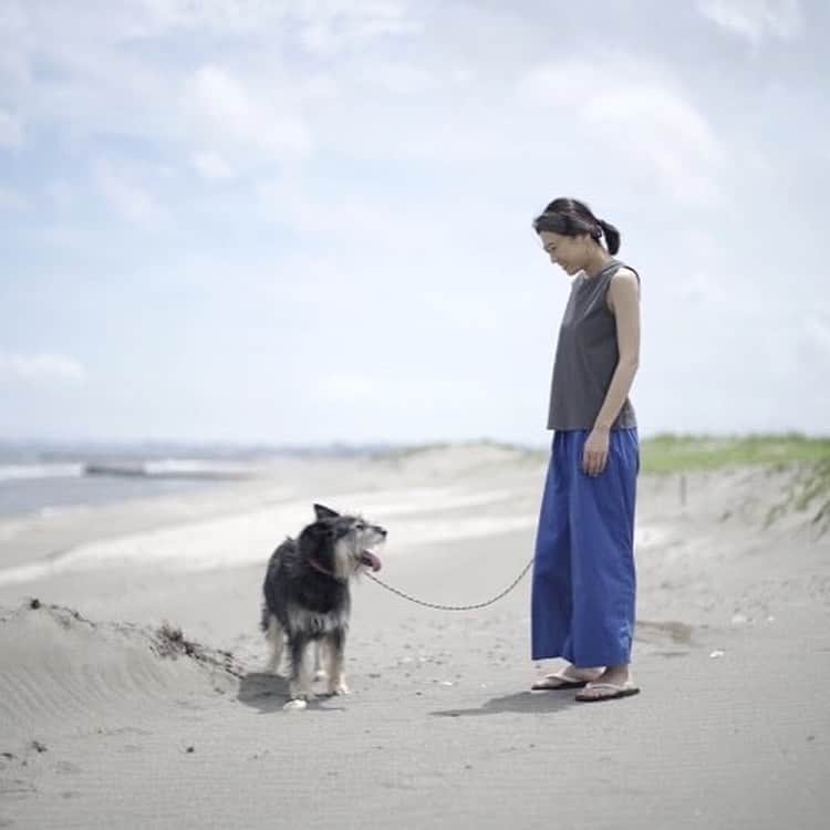 甲斐麻美さんのインスタグラム写真 - (甲斐麻美Instagram)「久しぶりに 太陽が元気な海散歩  オドたちも気持ちよさそうにしてました☺️良かった〜  思いっきりジャンプしたら 面白かった〜  ※もちろん地面温度は確認しています👍🏻✨  #いぬとわたし #元保護犬 #犬のいる暮らし #犬との暮らし #保護犬を家族に #肉球は大事 #ジャンプ」7月11日 15時55分 - kaico_asami