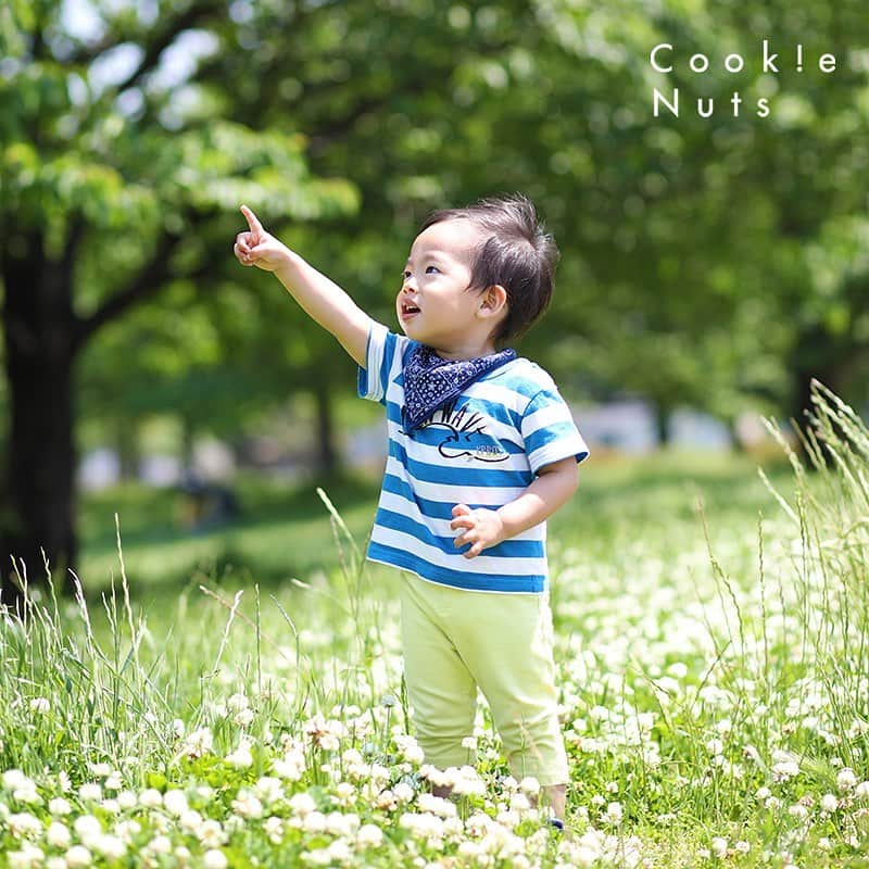 クッキーナッツさんのインスタグラム写真 - (クッキーナッツInstagram)「. 🌞Baby&Kids location開催決定🌞 . クッキーナッツが今の境町に 引っ越してくるずっと前から 開催しているキャンペーン。 . こんな時だからこそ 「いつも通り」を記念日に☘ . 対象年齢は 1歳〜12歳(小学6年生まで) . 1歳のお子さんは1人で立っちが出来る方からが対象です😊 . 8月末にはBaby&Kidsで撮影したお写真の写真展を開催します📷 . 写真展示での写真使用をご了承の上ご予約くださいませ😘 . 日程は 7/27(月)〜8/14(金)まで . 時間は 10:00/10:30/15:00/15:30/16:00/16:30 . 1枠30分の撮影になります！ . お友達同士のご予約はお受けしておりません。 1家族1枠のご予約となります。 . 定員は30名様！ 定員になり次第終了となります。 . ご予約受付は 7/13(月)11:00から！ . 電話又はLINEにてご予約受付致します😊 毎年沢山のご予約を頂いております。 電話優先制になりますのでご了承くださいませ。 . LINEは"クッキーナッツスタジオ"で検索💜 . さらに詳細はクッキーナッツスタジオの「おいでよ！クッキーナッツ」で検索してくださいね🥳 . #クッキーナッツスタジオ #クッキーナッツ #川崎 #神奈川 #写真スタジオ #ロケーションフォト #ロケーション撮影 #ロケーション #公園 #キャンペーン」7月11日 16時10分 - cookienuts_kawasakihonten