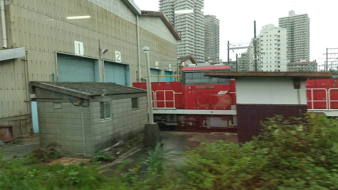 春山恵理さんのインスタグラム写真 - (春山恵理Instagram)「きょうは父の納骨の日でした。 霊園に着いた瞬間に雨がザーッと降ってきてどうなるかと思ったけど、納骨の時間になったら止んで、うっすら太陽が顔を出してくれました。  そして父のお墓の最寄り駅が、なんと！新駅の羽沢横浜国大駅。貨物と同じ線路を走るとあって、ずっと乗ってみたかったんです🚃！！！ 独身時代、東海道線と常磐線を制覇するなど鉄活をしていたこともあり、久々鉄子の血が騒ぎました！！  #きょうの空 #空が好きな人と繋がりたい  #空が好き #雲が好き #雲が好きな人と繋がりたい  #横浜 #羽沢横浜国大駅  #相鉄線 #鉄活 #鉄子  #スマホ撮影」7月11日 16時19分 - haruyamaeri