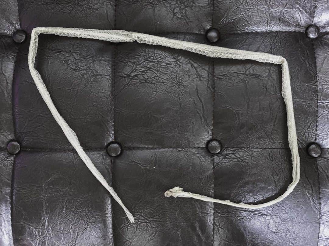 ももかわのインスタグラム：「#snake #蛇 #抜け殻」