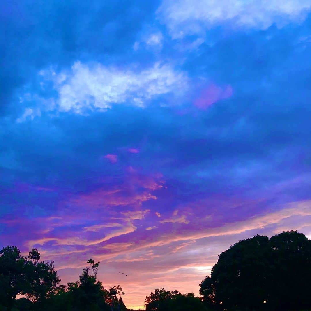 みんなのニュース「上を向いて歩こう」さんのインスタグラム写真 - (みんなのニュース「上を向いて歩こう」Instagram)「今朝の朝焼けは、雲が赤く染まっていてとても綺麗で、思わず撮影ポイントまで走っちゃった🤗  #いつも同じ道いつも違う空 #一期一会の空 #上を向いて  #一空一瞬 #日の出  #朝空 #朝焼け #朝焼けの空 #空が好きな人と繋がりたい  #雲が好きな人と繋がりたい #朝焼けが好きな人と繋がりたい  #朝日  #朝陽 #空が綺麗  #トワイライト #空のアート #朝の空 #朝活 #twilight #skyart  #fantasysky」7月11日 17時34分 - uewo_muite