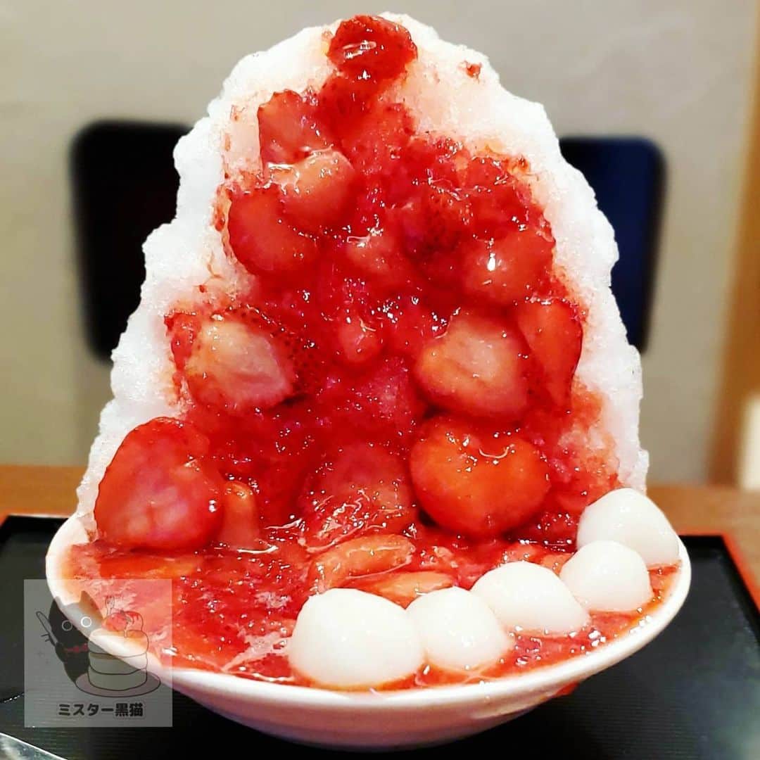 ミスター黒猫（黒猫仙人）のグルメインスタ