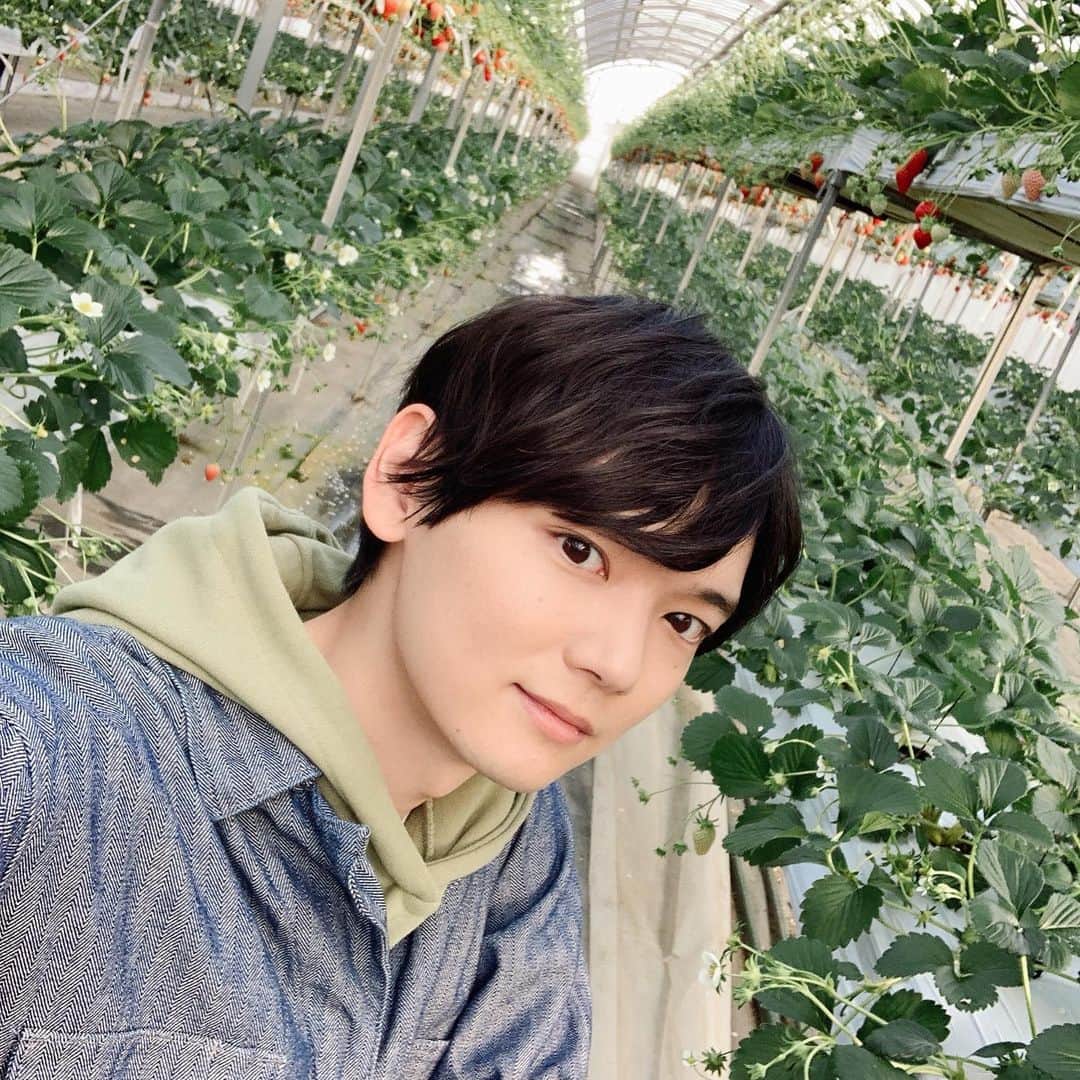 古川雄輝のインスタグラム：「映画 「#リスタートはただいまのあとで」  #オフショット  #古川雄輝 #yukifurukawa #長野 #イチゴ」