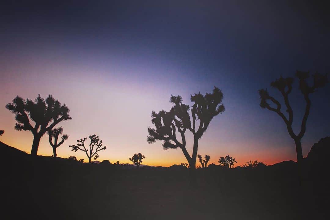 カリフォルニアスタイルのインスタグラム