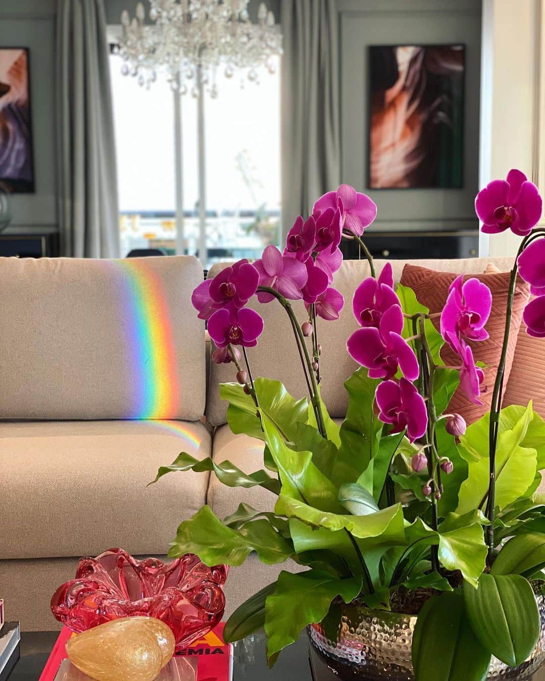 Glam4Youのインスタグラム：「Home 🏡」