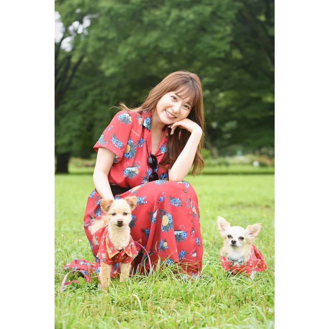 のインスタグラム：「🐻🐰💚  #代々木公園 #愛犬 #おさんぽ #ポメプー #チワワ #portrait」