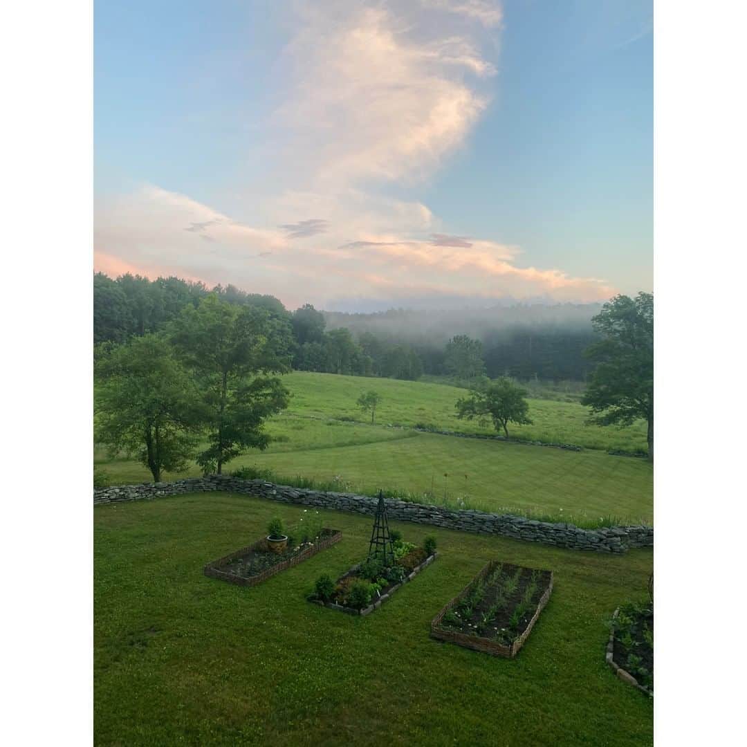 のインスタグラム：「Morning calm after the storm」