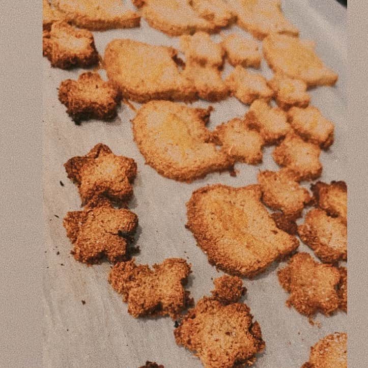 小屋春菜さんのインスタグラム写真 - (小屋春菜Instagram)「1週間前くらいにおからパウダーとアーモンドプードルでクッキー作ってみました🍪 美味しいけどちょっと焦げてるくらいに焼かないとモサモサ🍪 そして少しの力で分散してしまうから型取り時間かかる🍪 これならダイエット中はクッキーを食べたい気持ちを抑えてダイエット終了後に少量の美味しいクッキー食べたい 娘はパクパクたくさん食べてました🍪 #おからクッキー　#アーモンドプードル  #低糖質クッキー　#低糖質スイーツ」7月11日 21時05分 - haruharu3657