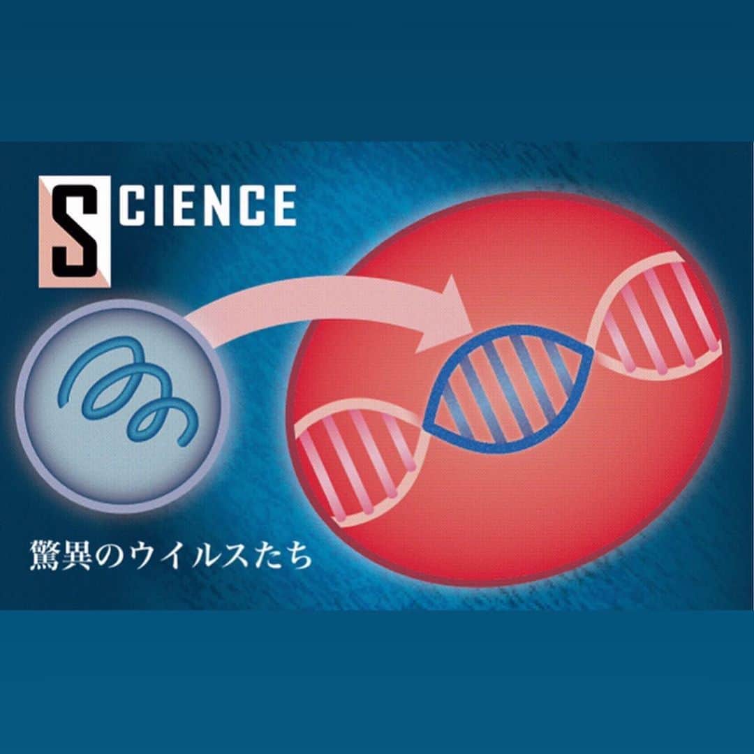 日本経済新聞社さんのインスタグラム写真 - (日本経済新聞社Instagram)「人類に宿るウイルス遺伝子、太古に感染　進化を演出 #驚異のウイルスたち . 人類の進化にもウイルスが深くかかわってきました。ウイルスの遺伝子は今も私たちに宿り、生命を育む胎盤や脳の働きを支えています。新型コロナウイルスは病原体の怖さを見せつけました。ウイルスが「進化の伴走者」といわれたら、悪い印象は変わるでしょうか。 . プロフィールのURLから日経電子版ページへ→「驚異のウイルスたち」で検索してご覧になれます。」7月11日 21時09分 - nikkei