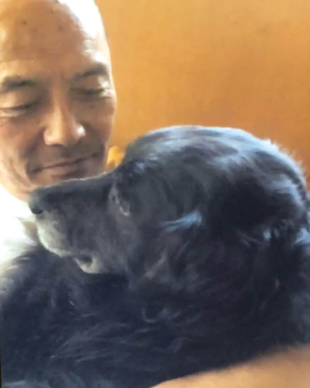 ジュンペイのグルメインスタ