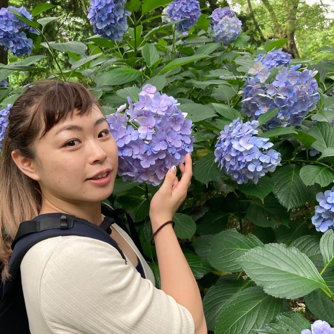 植草歩さんのインスタグラム写真 - (植草歩Instagram)「7月の紫陽花✿*: #井の頭公園」7月11日 21時18分 - ayayumin0725