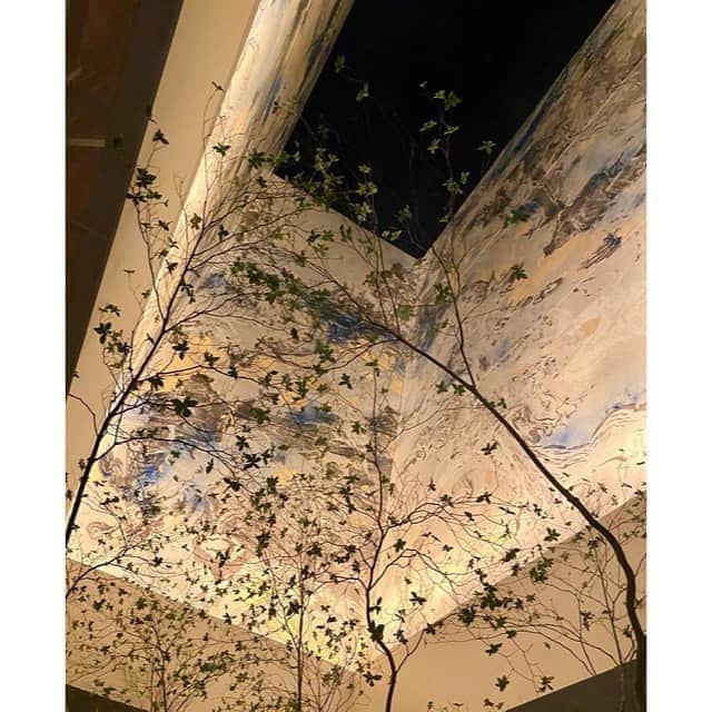 大地真央さんのインスタグラム写真 - (大地真央Instagram)「1月にオープンした 『バルコントーキョー』へ…🍽🥂🍷 入り口で先ず消毒と検温🌡 マスクを入れる袋をくださって😷 テーブルにはアルコールスプレーが置いてあり、 個室には空気清浄機が…(⌒▽⌒) きめ細やかな感染対策と、温かいサービス👏 美味しいお料理👨‍🍳🍷🍽素晴らしいロケーション🌇🗼 デザインはもちろん最高にカッコいい❣ テラスでは心地良い風を受け ちょっとした旅行気分を味わいました🍃  @balcon_tokyo #balcontokyo #テラス 🍃 #ソーシャルディスタンス #東京タワー 🗼 #夜景 🌃 #森田恭通デザイン  #大地真央 #MAODAICHI #森田恭通 #yasumichimorita」7月11日 21時30分 - daichimao_official