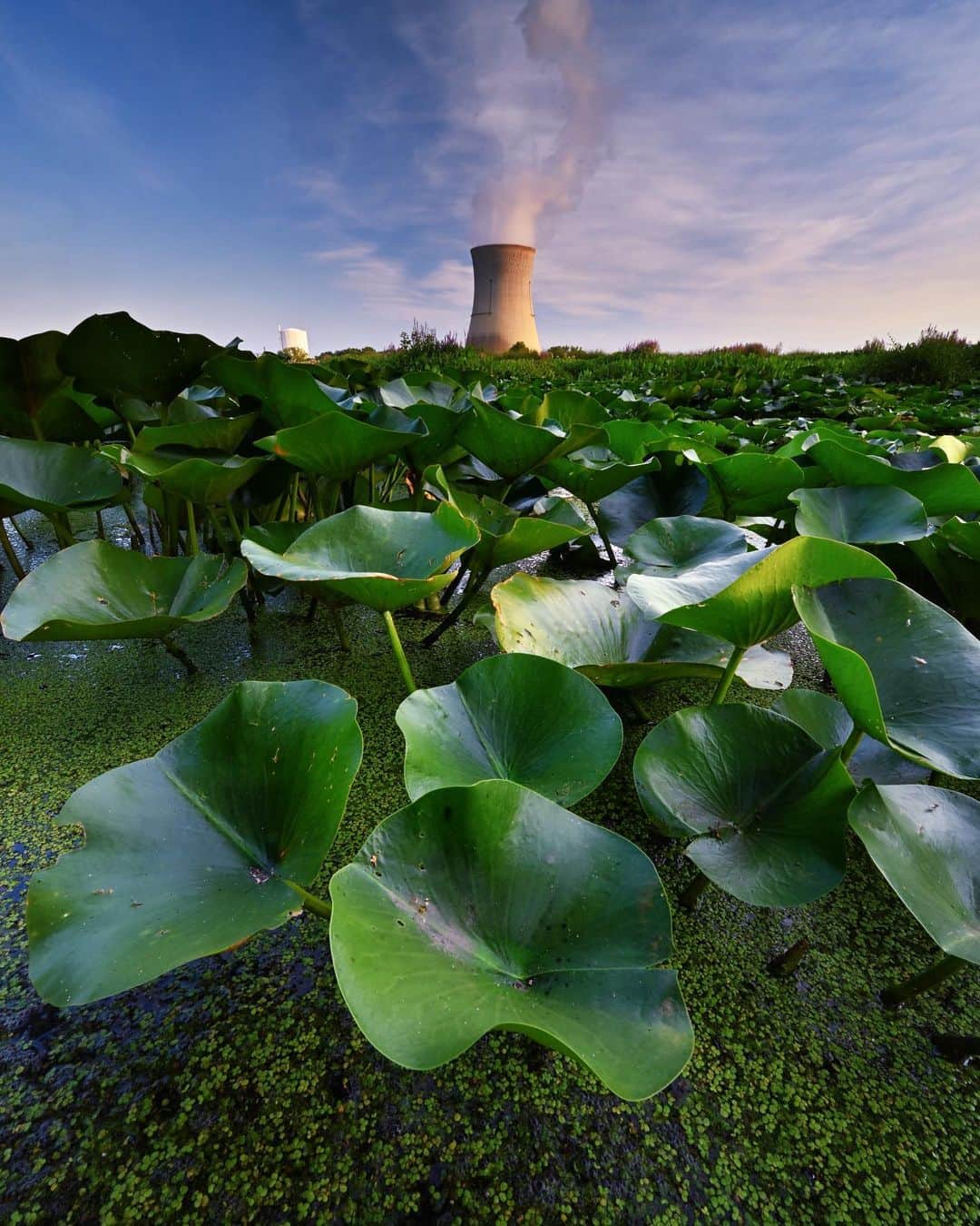 National Geographic Creativeさんのインスタグラム写真 - (National Geographic CreativeInstagram)「Photo by Keith Ladzinski @ladzinski / A nuclear power plant on the fringe of a wetland in Oak Harbor, Ohio. In total, the Great Lakes region has 38 nuclear facilities, the newest of which was built in 1975. These plants create carbon free energy but produce substantial nuclear waste. They pose a big question as to what to do with them once they’ve reached their productive life, which for many is already happening. To see more photos of my #GreatLakes assignment, please visit @ladzinski」7月11日 22時39分 - natgeointhefield