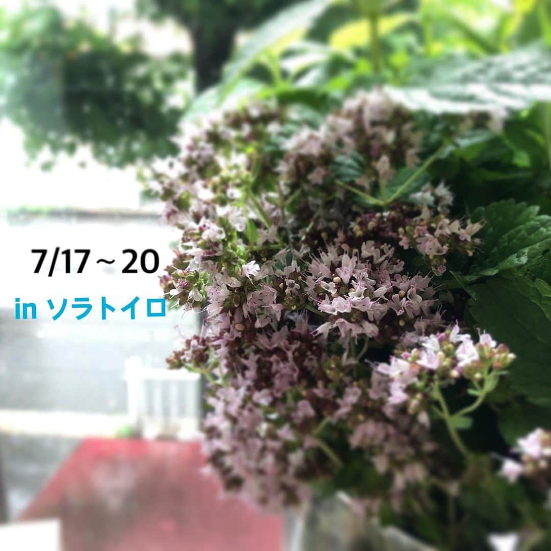 HERVA AKICOのグルメインスタ