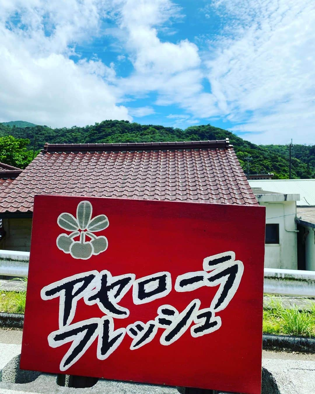 長嶺花菜さんのインスタグラム写真 - (長嶺花菜Instagram)「#アセローラフレッシュ #本部町」7月11日 22時49分 - kana_nagamine