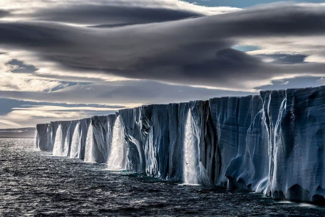 ナショナルジオグラフィックさんのインスタグラム写真 - (ナショナルジオグラフィックInstagram)「Photo by @paulnicklen  One of the greatest privileges—and one of the greatest honors—of my life is that I've found myself in a position where I get to inspire action and make a difference with my art. Every creator dreams of people responding to something in their work–even if it is just one person. Knowing that one of my favorite images, "Ice Waterfall," will reach a completely new audience as the cover of Gigaton, Pearl Jam's first album in seven years, is a crazy feeling, and not something that I take for granted. Working with the band and its record label on this project was a fantastic experience–a testament to what can be achieved through the power of art and collaboration. Follow me @PaulNicklen where I try to inspire everyone to feel more connected to the natural world, whether it's through #OceanSchool lessons with @SeaLegacy or stories about the years I've spent in the field. #Inspire #Gratitude #Art #Compassion」7月11日 23時37分 - natgeo