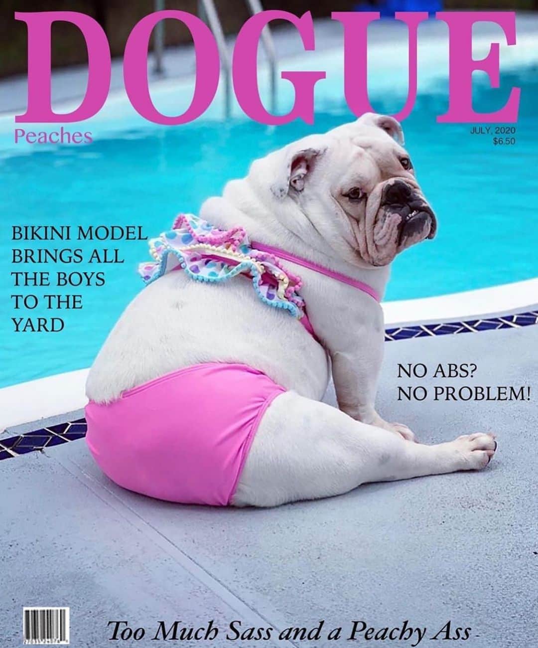 Bodhi & Butters & Bubbahのインスタグラム：「Natural beauty 💁🏼‍♀️ . . . . . #bulldog #beautiful #summer #bikini #body #positivevibes #style #pink #dog #life #sweet #girl #lazy #weekend #by #the #pool #dogsofinstagram #bestoftheday 💗 @itspeachesthebulldog @coverdogs」