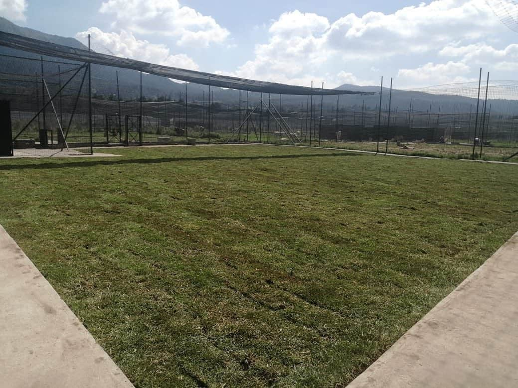 Black Jaguar-White Tiger さんのインスタグラム写真 - (Black Jaguar-White Tiger Instagram)「This is one half of each habitat that hosts a big Pride. You can see Los Magicos on the other side. They’re on the other side because we just put new grass on this side. In around 3 weeks, we’ll merge both sides again :) #Stage2bBJWT #LosMagicos」7月12日 0時20分 - blackjaguarwhitetiger