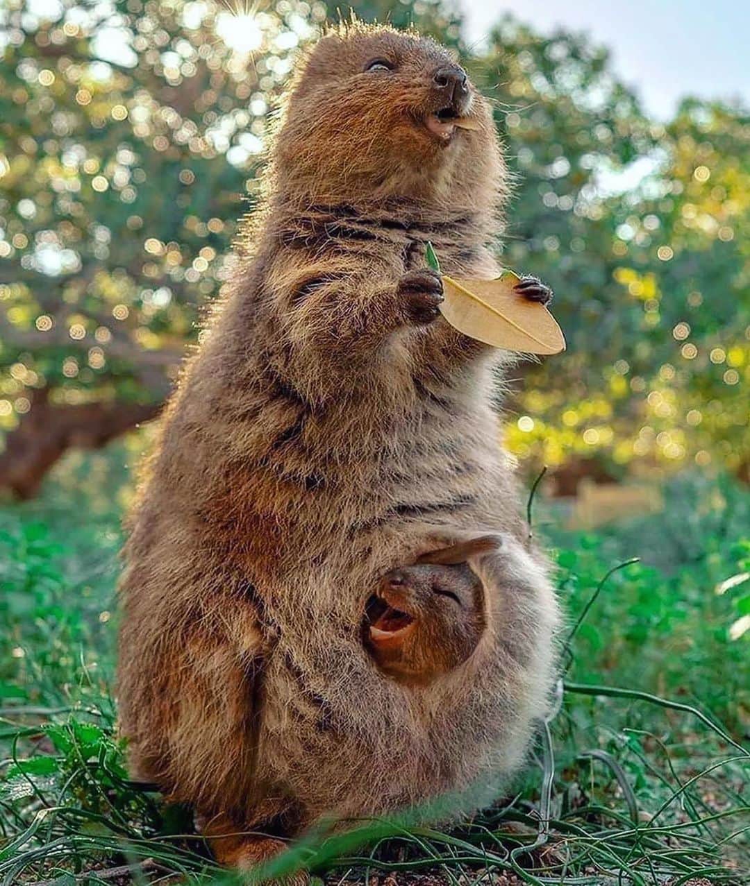カロウ･カストロのインスタグラム