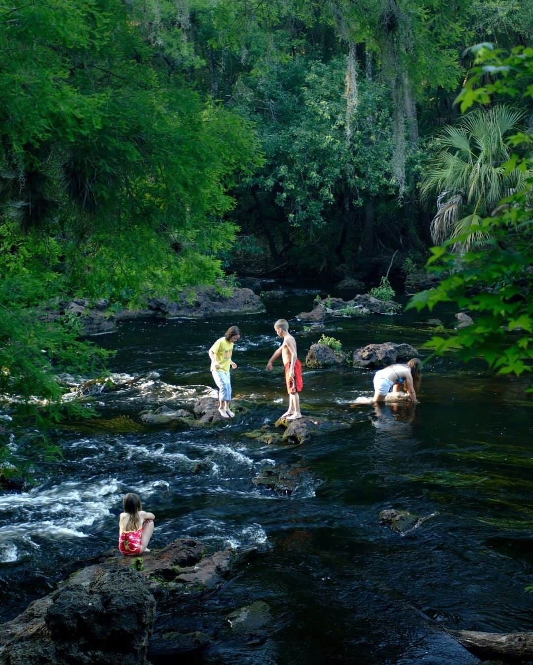 National Geographic Travelさんのインスタグラム写真 - (National Geographic TravelInstagram)「Photo by @CarltonWard  Kids play among the rapids in Hillsborough River State Park, just north of Tampa. Originating in the Green Swamp between Tampa and Orlando, the Hillsborough River (and the Green Swamp watershed) provide most of the drinking water for the Tampa Bay area. When the river gets flowing with summer rains, there are Class II rapids just a few miles from downtown. Hillsborough River State Park is one of my favorite places close to home and one of 175 Florida state parks that have been selectively reopening since early June. #river #freshwater #statepark #tampa #KeepFLWild」7月12日 1時06分 - natgeotravel